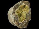 Yellow Crystal Filled Septarian Geode - Utah #97242-1